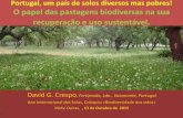 Portugal, um país de solos diversos mas pobres! O … · usada como alimento para o homem e outros seres vivos, ... de herbicidas, e encurtamento de rotações ... verificam-se nos