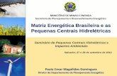 Matriz Energética Brasileira e as Pequenas Centrais ... · Respeito aos Contratos Existentes Compromisso com as Questões Socioambientais Fortalecimento do Planejamento Diversificação