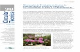 Otimização da Produção de Mudas de Cattleya labiata ... · plântulas in vitro de C. labiata e sua aclimatização em telado: Etapa 1: Desinfestação da cápsula, inoculação