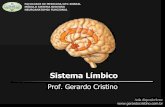Sistema Nervoso Sistema Límbico - Dr. Gerardo Cristinogerardocristino.com.br/.../Neuroanatomia/Aulas/T7_Sistema_Limbico.pdf · Sistema Nervoso Central Áreas da emoção Emoção