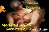 Sistema Endócrino - colegionomelini.com.br · Epitélio Glandular: produção e eliminação de secreções Tipos: •Exócrinas: canal de saída – lacrimais, mamárias, sudoríparas