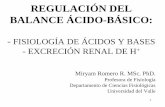 REGULACIÓN DEL BALANCE ÁCIDO-BÁSICOs54dc30c9791d7d8c.jimcontent.com/download/version... · Acido láctico (en acidosis láctica, por hipoperfusión o shock) ... Metanol ácido