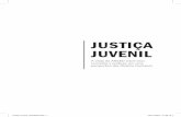 Justiça Juvenil - crpsp.org.br · que existia antes do advento do Estatuto da Criança e do Adolescente e da Convenção Internacional sobre os Direitos da Criança, e o que passamos