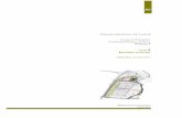 CÂMARA MUNICIPAL DE VAGOS · cÂmara municipal de vagos plano de pormenor do parque empresarial de soza – parcela f 4 plano de pormenor do parque empresarial de soza – parcela