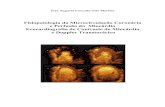 Fisiopatologia da Microcirculação Coronária e Perfusão J Coucello TD... · PDF file2.2 Anatomia e Arquitectura da Rede Vascular Coronária ... seu elevado espírito crítico e