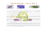 GRIPE H1N1 - nunodinis.yolasite.comnunodinis.yolasite.com/resources/GRIPE H1N1.pdf · GRIPE H1N1 A gripe suína é endémica Imagem de microscópio electrónico do em porcos vírus
