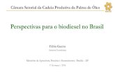 Perspectivas para o biodiesel no Brasil - agricultura.gov.br · 7,3 bi de litros/ano Fonte: Ministério de Minas e Energia –Boletim dos Combustíveis Renováveis. ... Tarifa de