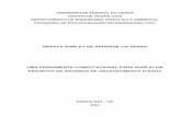 RENATA SHIRLEY DE ANDRADE VALDIVINO UMA … · Dissertação submetida ao Curso de Mestrado em Recursos Hídricos da ... AutoLISP, VBA (Visual Basic of Applications) and VB (Visual