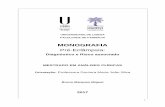 MONOGRAFIA - repositorio.ul.ptrepositorio.ul.pt/.../10451/28841/1/TM_Bruno_Miguel_Monografia.pdf · apoio, disponibilidade e orientação na realização da presente monografia. ...
