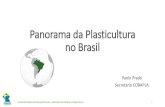 Panorama da Plasticultura no Brasil - cobapla.com.brcobapla.com.br/wp-content/uploads/2018/07/COBAPLAcompressed.pdf · COVEPLA Venezuela AGRIPLAST Colômbia ... • Levantamentos