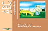 Criação de caprinos e ovinos - Agropedia brasilis · • É a melhor raça caprina para produ-ção de carne. • Produz em torno de 3 crias a cada 2 anos. • O peso médio, ao