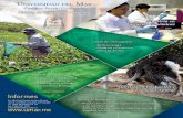 2014 52 3748 - :: Universidad del Mar · 2014 52 3748 37 Condiciones geográficas propicias para el cultivo del café en la Sierra Madre del Sur del estado de Oaxaca Genaro Correa