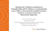 Sistema de Créditos académicos Transferibles (SCT …sct-chile.consejoderectores.cl/documentos_WEB/Sistema_de_creditos... · por dimensiones. Niveles ... Bases del SCT-Chile para