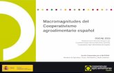 Macromagnitudes del Cooperativismo agroalimentario … · Macromagnitudes del Cooperativismo agroalimentario español OSCAE 2015 OBSERVATORIO SOCIOECONÓMICO DEL COOPERATIVISMO AGROALIMENTARIO