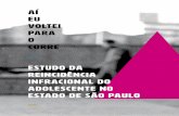 REINCIDÊNCIA ESTADO DE SÃO PAULO · 2018-08-14 · Fundação CASA Fundação Centro de Atendimento Socioeducativo ao Adolescente ... IVS Índice de Vulnerabilidade Social LA Liberdade