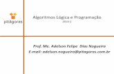 Algoritmos Lógica e Programação · Conteúdo Plano de Ensino 1. Conceitos iniciais de algoritmos: Definição de algoritmos. Histórico e perspectivas para a linguagem. O ambiente