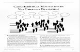 CARACTERÍSTICAS MOTIVACIONAIS NAS EMPRESAS BRASILEIRAS Q ... · PDF fileson's individual characteristics aftect the degree to which motivational variables may be reflected on observable