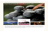 Inter Beaujolais, que representa os 2.800 produtores da ... · Boletim de informação dos Vinhos de Beaujolais no Brasil mandado pelo Inter Beaujolais. Boa leitura! Inter Beaujolais,