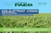 INFORMATIVO FAEB - m.sistemafaeb.org.brm.sistemafaeb.org.br/fileadmin/user_upload/faeb/2017/marco/30/... · sistema informativo boletim mensal para o produtor rural - ano xv fev/mar