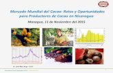 Mercado Mundial del Cacao: Retos y Oportunidades para ...forocacao.com/media/activity/Clausura_ICCO_Dr_Anga.pdf · para Productores de Cacao en Nicaragua 90 Managua, 11 de Noviembre