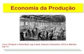 Economia da Produção - edisciplinas.usp.br · Economia da Produção Livro: Pindyck e Rubinfeld, cap 6 (8ed, Pearson Education, 2013) e Mankiw cap 13