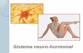 Sistema neuro-hormonal - Blog da Disciplina de Ciências ... · Qualquer alteração no exterior ou no interior do corpo… corresponde a um Estímulo que provoca uma resposta do