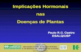 Implicações Hormonais nas Doenças de Plantas - Brasilbrasil.ipni.net/ipniweb/region/brasil.nsf... · os tecidos verdes por indução da síntese de clorofila, atrasando a senescência