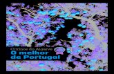 Citrinos do Algarve O melhor de Portugalclubedeprodutores.continente.pt/media/Newsletters/correçoes... · é “a melhor do Algarve, logo, a melhor de todo o país”. Mas a sua