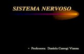 SISTEMA NERVOSO - PSICOLOGIA – noturno · •MEDULA ESPINAL –Longo cordão de tecido nervoso, com dimensões aproximadas de 30cm de comprimento por 1cm 2 de área de seção,