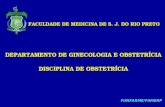 [PPT]Slide sem título - Andrea Enfermeira Blog | "A … · Web viewFACULDADE DE MEDICINA DE S. J. DO RIO PRETO DEPARTAMENTO DE GINECOLOGIA E OBSTETRÍCIA DISCIPLINA DE OBSTETRÍCIA