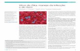 Vírus da Zika: manejo da infecção e do risco · Apresentamos a orientação atual de manejo para pro - fissionais de saúde em países não endêmicos, ... • Honduras • Martinica