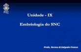 Unidade - IX Embriologia do SNCbio-neuro-psicologia.usuarios.rdc.puc-rio.br/assets/10_embriologia.pdf · Ecotoderma –Folheto mais externo Dá origem a placa neural Sulco Neural