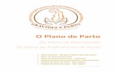 O Plano de Parto - Início - Associação Portuguesa pelos Direitos … · 2016-08-01 · Modelo de Carta para acompanhar o Plano de Parto Modelo de Plano de Parto ... O formato por