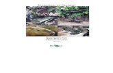 Ecoturismo no Pantanal - alice. · PDF fileMarco Aurélio Rotta Hélder Silva e Luna Wilson Antonio Weis Editores . Empresa Brasileira de Pesquisa Agropecuária ... (011) 3091-7734