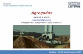 Agregados - DCC · Granulometria ENSAIOS Agregados Distribuição granulométrica dos agregados: Influência nas propriedades de concretos e argamassas: Efeito na superfície ...