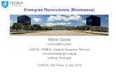 Energias Renováveis (Biomassa) - FAPESP · Energias Renováveis (Biomassa) Mário Costa (mcosta@ist.utl.pt) LAETA, IDMEC, Instituto Superior Técnico ... (corrosion) 6 Data logger