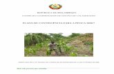 PLANO DE CONTINGÊNCIA PARA A ÉPOCA 2006/7 · 5.2.7 Coordenação da Acção Ambiental (MICOA) ... redução da vulnerabilidade do país às calamidades naturais e define o sistema