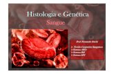 Zoologia e Histologia Animal - jesusadolescente.g12.br · Sistema MN Sistema Sanguíneo - Genética Grupos Genótipos Antígenos M MM M N NN N Prof. Fernando Stuchi MN MN M e N. Exercícios