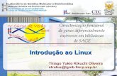 Introdução ao Linux - lgmb.fmrp.usp.br · PDF fileO que é Linux??? Definição: Linux é um sistema operacional criado em 1991 por Linus Torvalds na universidade de Helsinki na