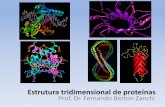 Estrutura tridimensional de proteínas - bionorte.org.br · Temas importantes 1. A conformação tridimensional (3D) depende da seqüência de aminoácidos 2. A função depende da