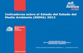 Indicadores sobre el Estado del Estado del Medio Ambiente ... · Medio Ambiente (REMA) 2012 ... regional y local. Sin ... tema. Utiliza datos e indicadores posibles de actualizar
