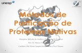 Métodos de Purificação de Proteínas - fcav.unesp.br · presentes em uma amostra ou o grau de pureza. • Permite determinação do ponto isoelétrico e massa molecular aproximada.