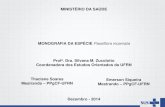 MINISTÉRIO DA SAÚDE - portalms.saude.gov.brportalms.saude.gov.br/.../30/II-snpmfaf-passiflora-incarnata.pdf · Passiflora incarnata, Crataegus oxyacantha, Salix alba, ... o Monografia