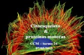 Citoesqueleto proteínas motoras - ccm0121.files.wordpress.com · Citoesqueleto é importante para a localização de mRNAs. Citoesqueleto é importante para a localização de mRNAs.