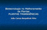Biotecnologia no Melhoramento de Plantas PLANTAS … Plantas... · regeneração in vitro ... alimentos para o patógeno e levarão a célula a se mutiplicar >> formação de tumores