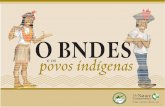O BNDES e os Povos Indígenas - tnc.org.br · 7 BNDES significa Banco Nacional de Desenvolvimento Econômico e Social. O BNDES é um banco do Governo Federal, ligado ao Minis-tério