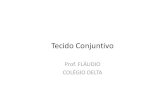 Tecido Conjuntivo - Professor Fláudio (ATUALIZANDO · Tecido conjuntivo TC de Sustentação Ósseo e cartilaginoso TC de Transporte Linfático e sanguíneo TC propriamente dito Com