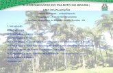 O AGRONEGÓCIO DO PALMITO NO BRASIL - CEPLAC - …12).pdf · • Mercado do palmito está ótimo e o consumo do produto in natura é crescente; • Em 2009 havia 822 ha plantados
