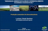 Produção sustentável de biocombustíveis · Sustentabilidade de biocombustíveis: histórico Publicação do relatório de Nicolas Stern; mudança climática hot spot IV relatório