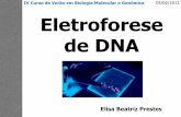 IV Curso de Verão em Biologia 05/02/2013Molecular e Genômica ...proto.ufsc.br/files/2012/03/05.02.13_Eletroforese.pdf · Arne Tiselius Prêmio Nobel de Química – 1948 Eletroforese